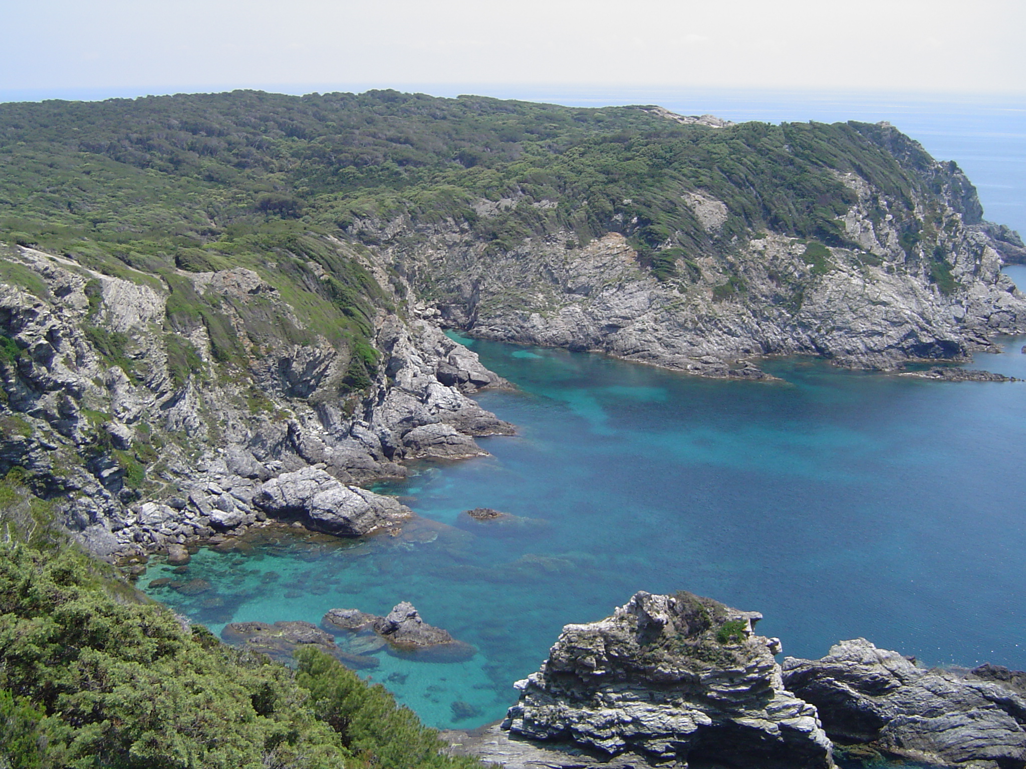 Cove